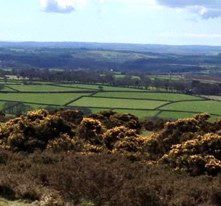 historic field boundaries on Dartmoor