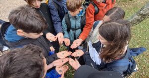 School group looking at Roman coins